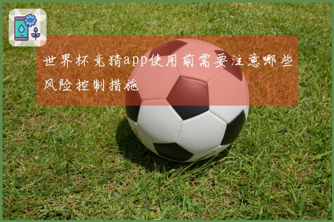 世界杯竞猜app使用前需要注意哪些风险控制措施