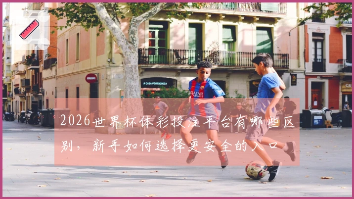 2026世界杯体彩投注平台有哪些区别，新手如何选择更安全的入口