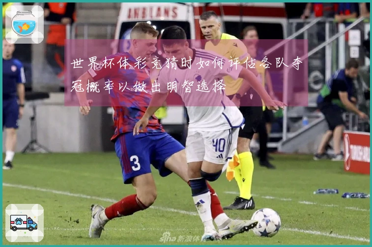 世界杯体彩竞猜时如何评估各队夺冠概率以做出明智选择