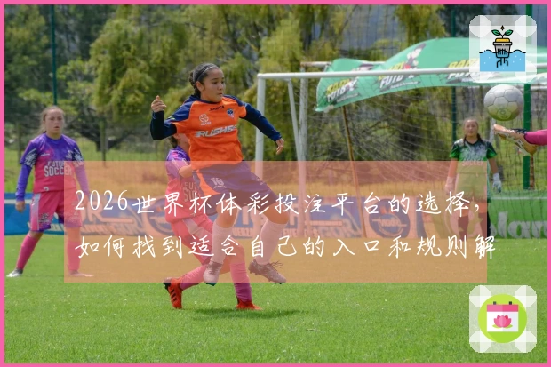 2026世界杯体彩投注平台的选择，如何找到适合自己的入口和规则解析