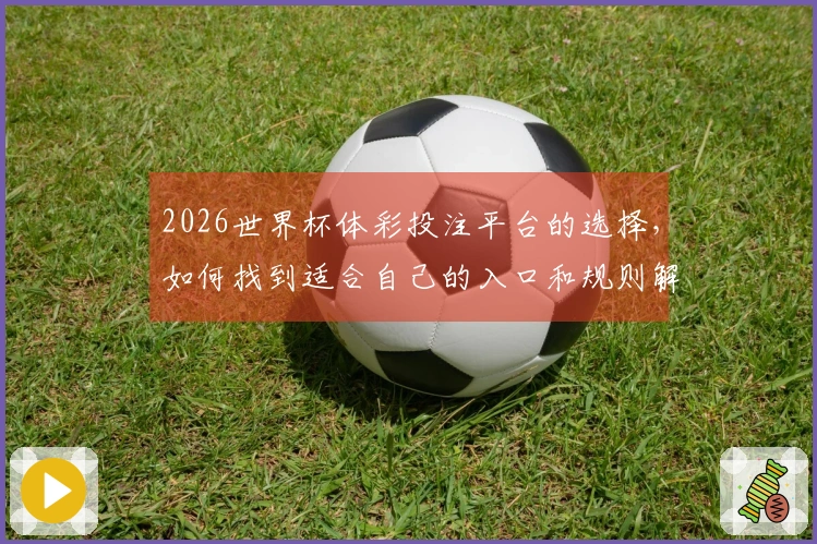 2026世界杯体彩投注平台的选择，如何找到适合自己的入口和规则解析