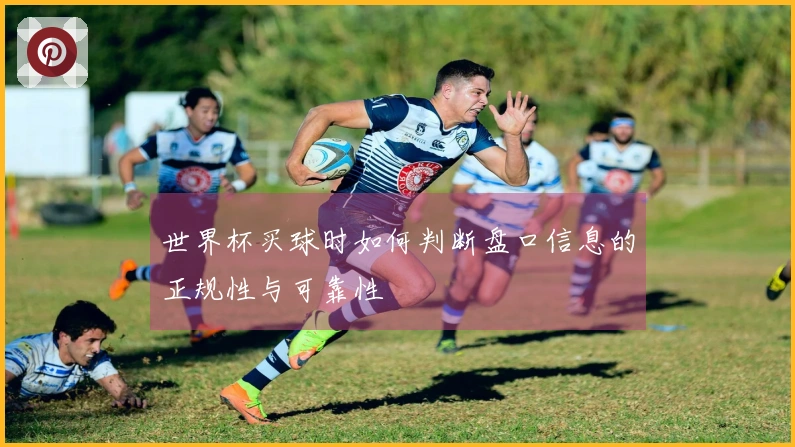 世界杯买球时如何判断盘口信息的正规性与可靠性