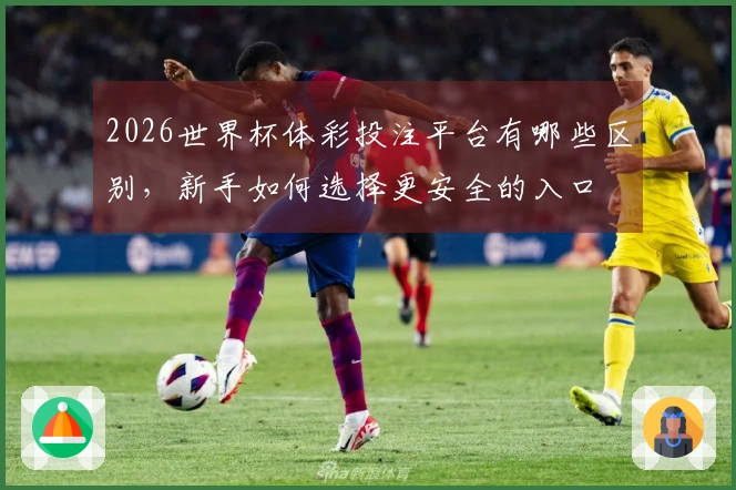 2026世界杯体彩投注平台有哪些区别，新手如何选择更安全的入口
